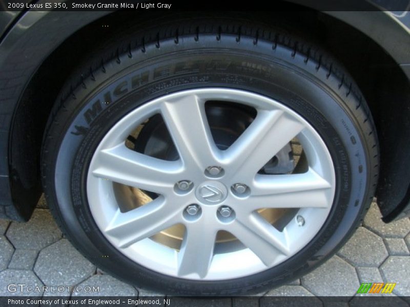 Smokey Granite Mica / Light Gray 2009 Lexus ES 350