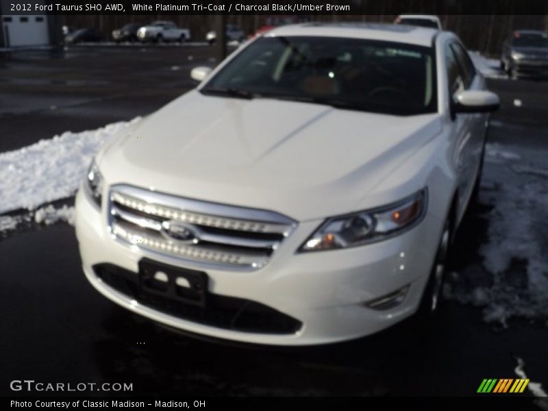 White Platinum Tri-Coat / Charcoal Black/Umber Brown 2012 Ford Taurus SHO AWD