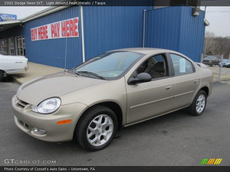 Light Almond Pearl Metallic / Taupe 2002 Dodge Neon SXT