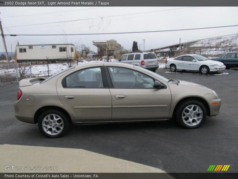 Light Almond Pearl Metallic / Taupe 2002 Dodge Neon SXT