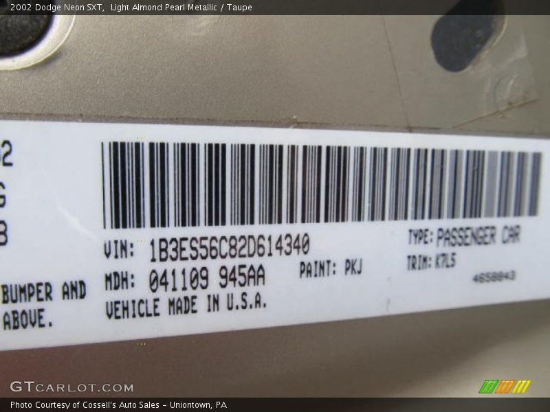 2002 Neon SXT Light Almond Pearl Metallic Color Code PKJ