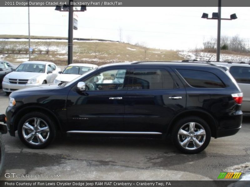 Blackberry Pearl / Black/Tan 2011 Dodge Durango Citadel 4x4