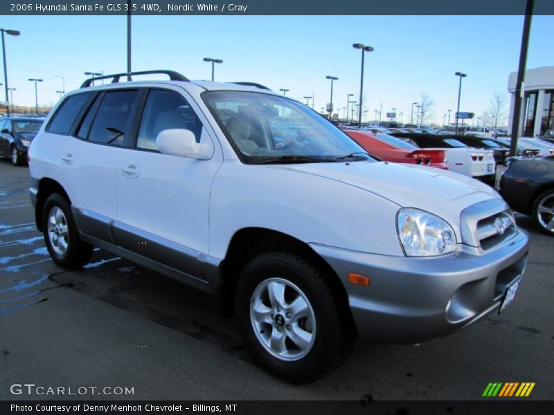 Nordic White / Gray 2006 Hyundai Santa Fe GLS 3.5 4WD