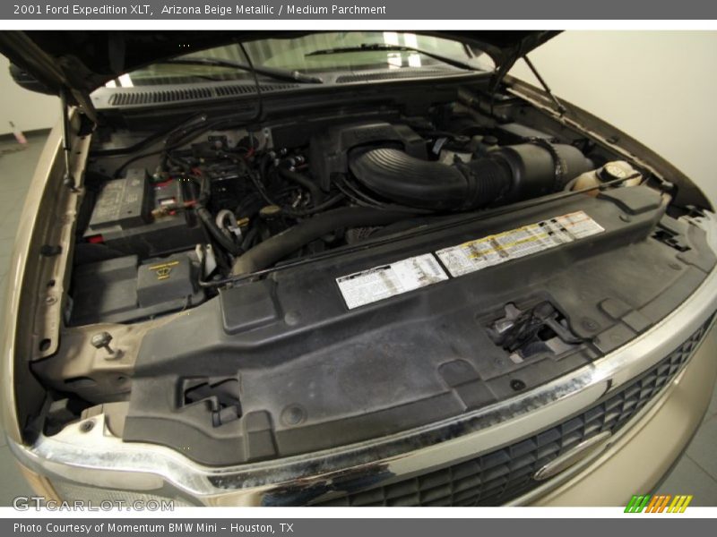 Arizona Beige Metallic / Medium Parchment 2001 Ford Expedition XLT