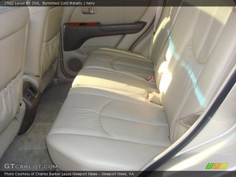 Burnished Gold Metallic / Ivory 2002 Lexus RX 300