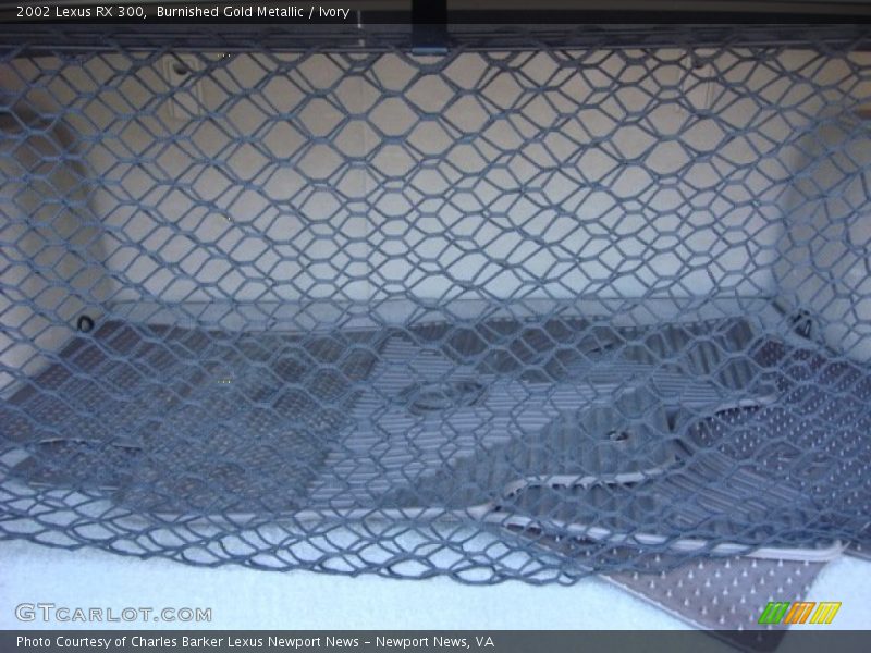 Burnished Gold Metallic / Ivory 2002 Lexus RX 300