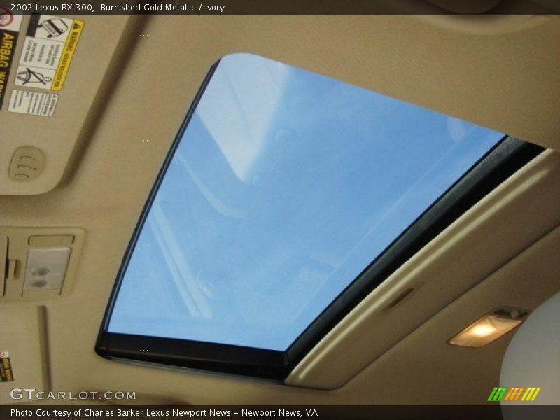 Burnished Gold Metallic / Ivory 2002 Lexus RX 300