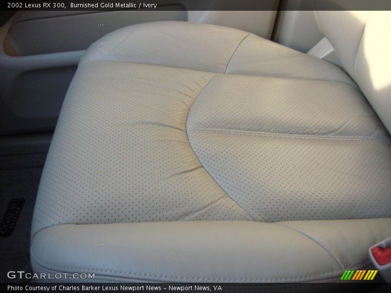 Burnished Gold Metallic / Ivory 2002 Lexus RX 300