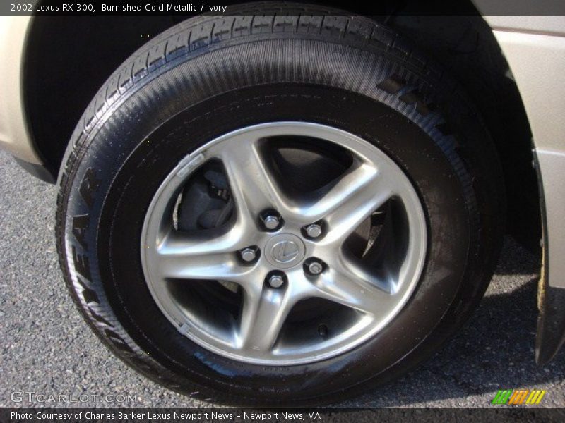 Burnished Gold Metallic / Ivory 2002 Lexus RX 300