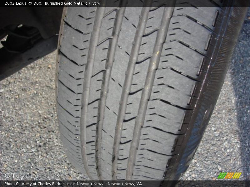 Burnished Gold Metallic / Ivory 2002 Lexus RX 300