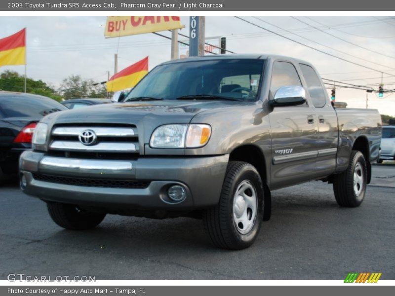 Phantom Gray Pearl / Light Charcoal 2003 Toyota Tundra SR5 Access Cab