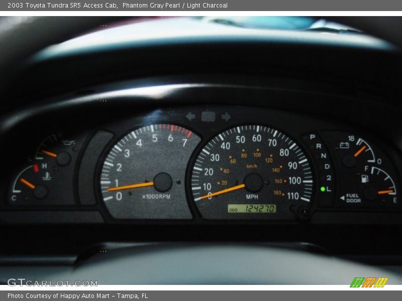 Phantom Gray Pearl / Light Charcoal 2003 Toyota Tundra SR5 Access Cab
