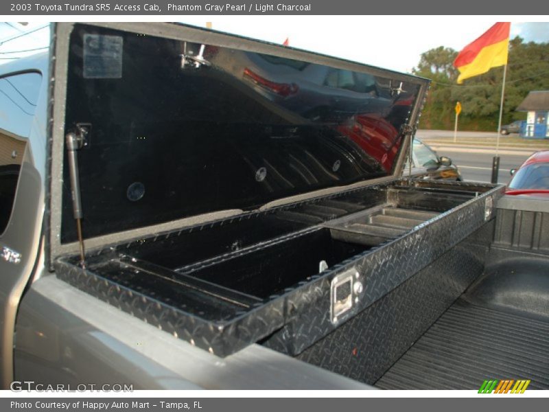 Phantom Gray Pearl / Light Charcoal 2003 Toyota Tundra SR5 Access Cab