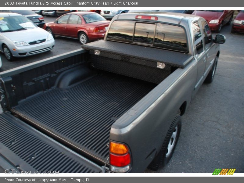 Phantom Gray Pearl / Light Charcoal 2003 Toyota Tundra SR5 Access Cab