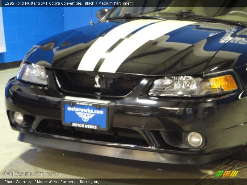 Black / Medium Parchment 1999 Ford Mustang SVT Cobra Convertible