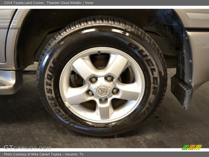 Thunder Cloud Metallic / Stone 2004 Toyota Land Cruiser