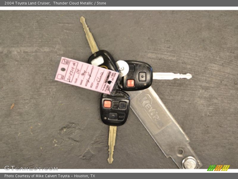 Thunder Cloud Metallic / Stone 2004 Toyota Land Cruiser