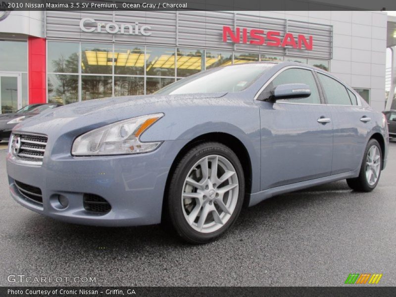 Ocean Gray / Charcoal 2010 Nissan Maxima 3.5 SV Premium