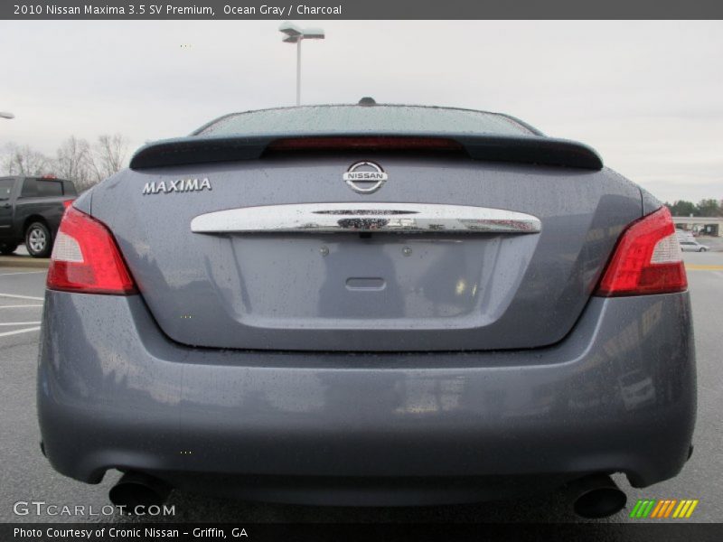 Ocean Gray / Charcoal 2010 Nissan Maxima 3.5 SV Premium