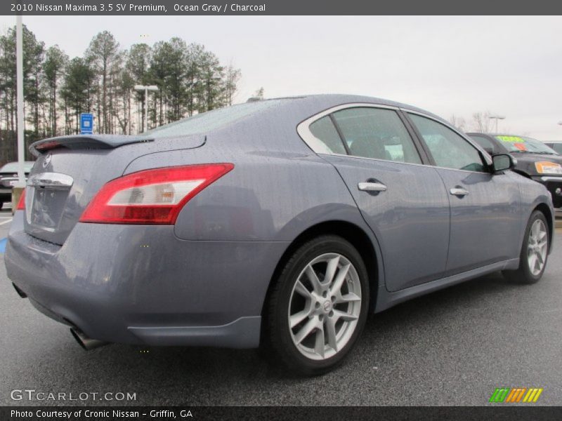 Ocean Gray / Charcoal 2010 Nissan Maxima 3.5 SV Premium