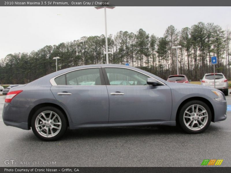 Ocean Gray / Charcoal 2010 Nissan Maxima 3.5 SV Premium