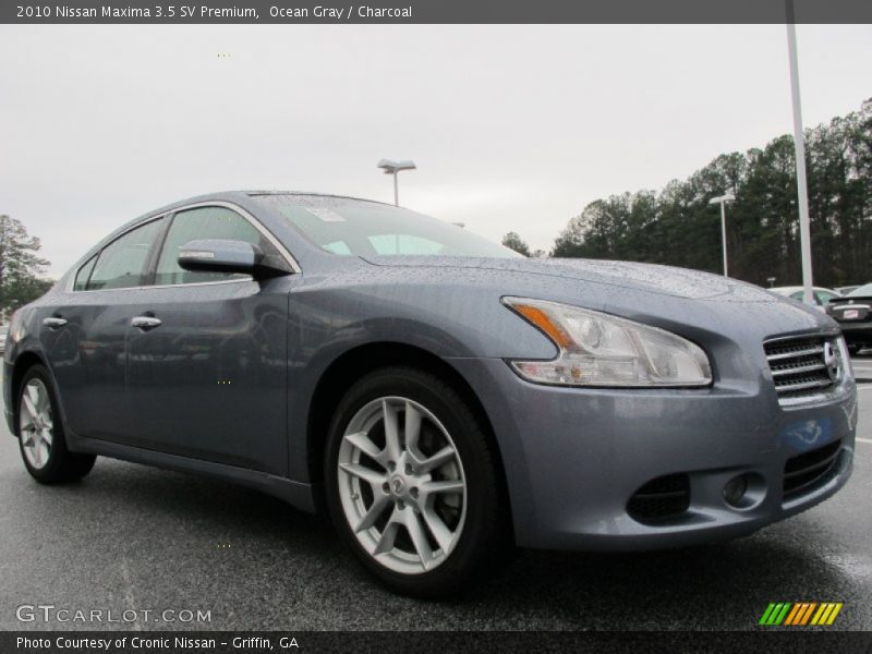 Ocean Gray / Charcoal 2010 Nissan Maxima 3.5 SV Premium