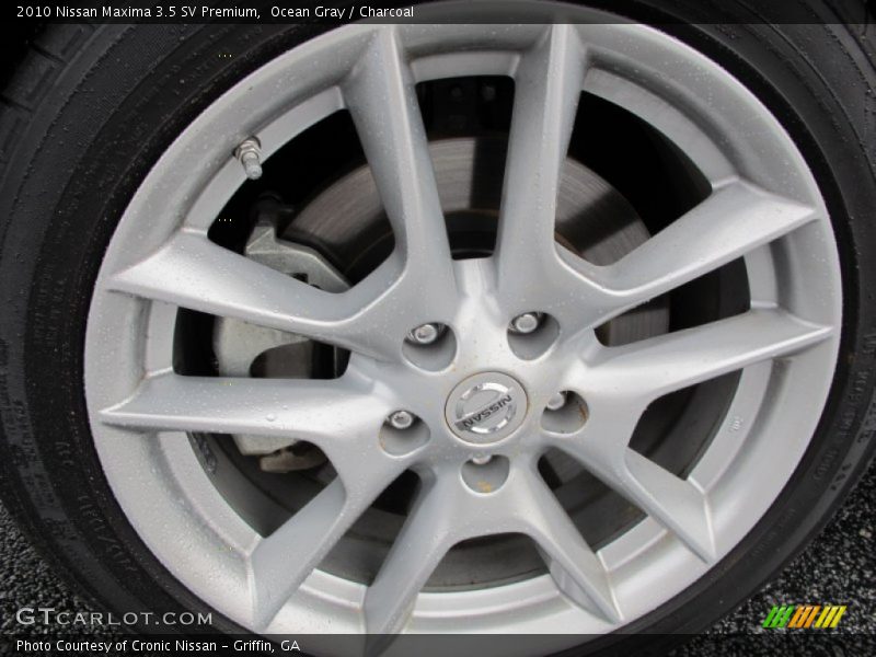 Ocean Gray / Charcoal 2010 Nissan Maxima 3.5 SV Premium