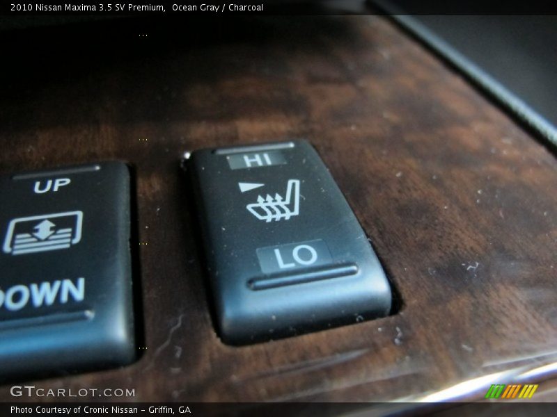 Ocean Gray / Charcoal 2010 Nissan Maxima 3.5 SV Premium