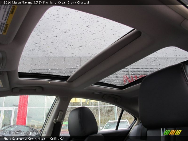 Ocean Gray / Charcoal 2010 Nissan Maxima 3.5 SV Premium