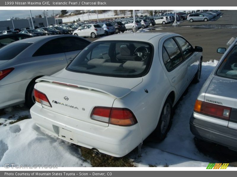 Icelandic Pearl / Charcoal Black 1999 Nissan Maxima GXE