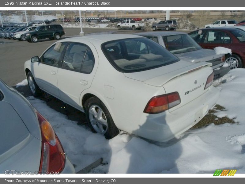 Icelandic Pearl / Charcoal Black 1999 Nissan Maxima GXE