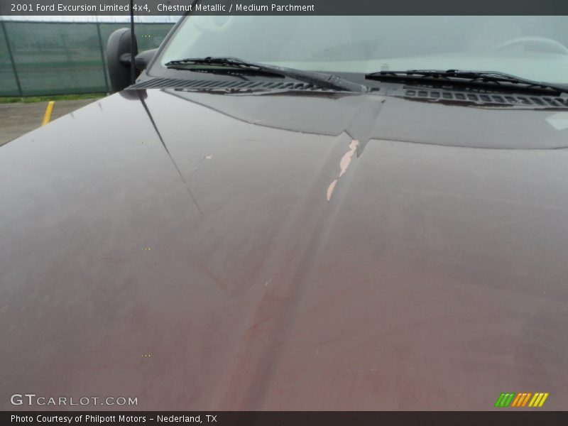 Chestnut Metallic / Medium Parchment 2001 Ford Excursion Limited 4x4