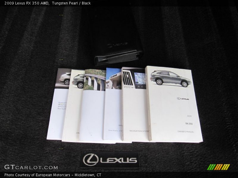 Tungsten Pearl / Black 2009 Lexus RX 350 AWD