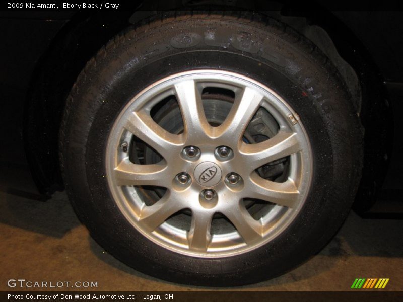 Ebony Black / Gray 2009 Kia Amanti