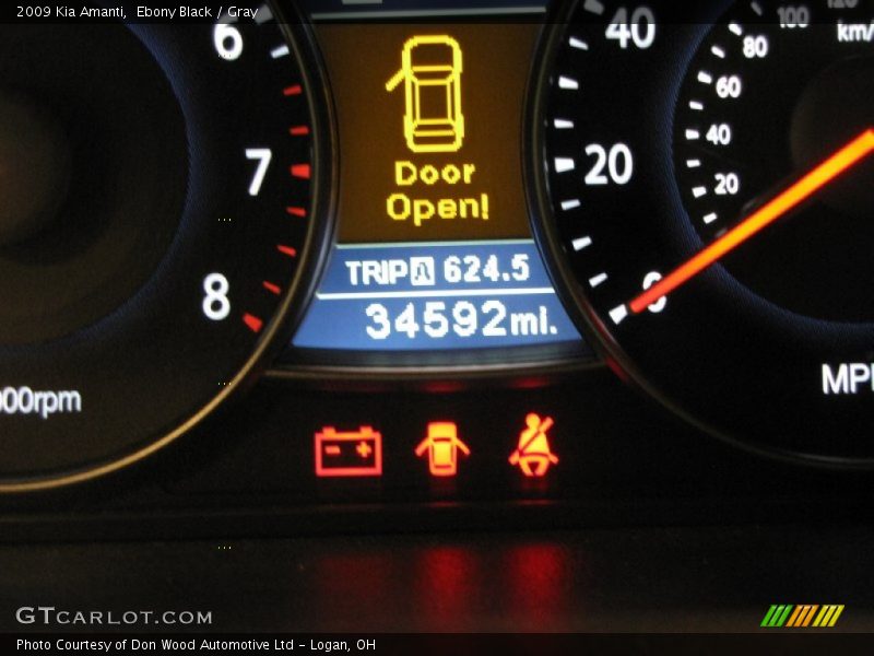 Ebony Black / Gray 2009 Kia Amanti