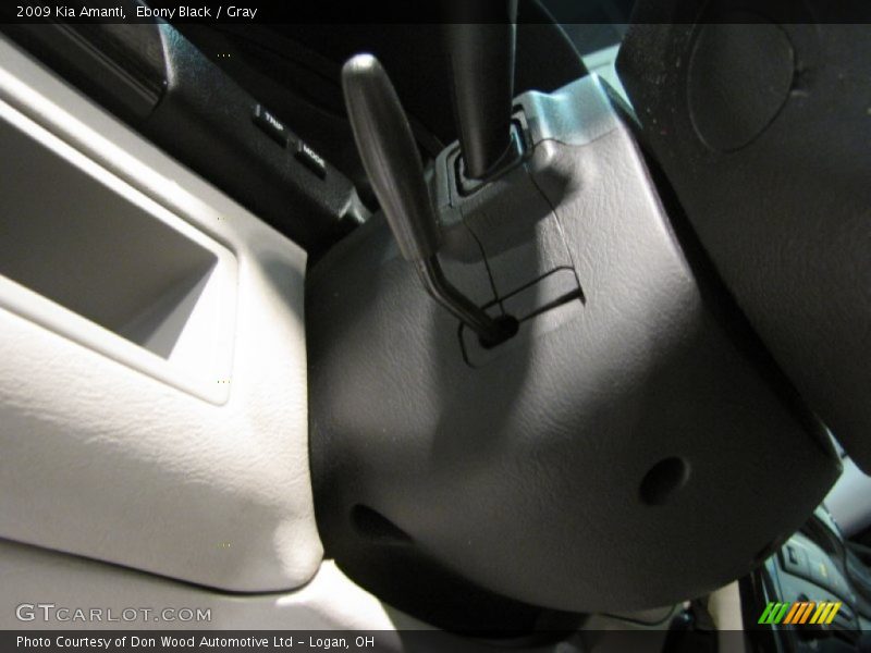 Ebony Black / Gray 2009 Kia Amanti