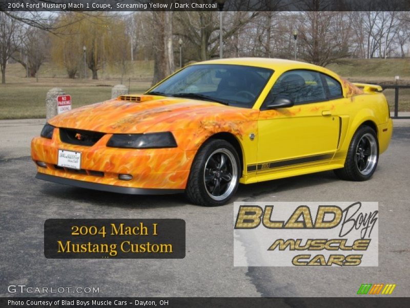 Screaming Yellow / Dark Charcoal 2004 Ford Mustang Mach 1 Coupe