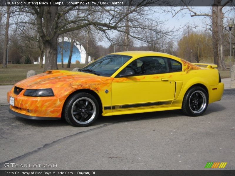 Flame Paint - 2004 Ford Mustang Mach 1 Coupe