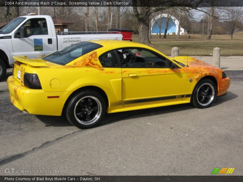 Screaming Yellow / Dark Charcoal 2004 Ford Mustang Mach 1 Coupe