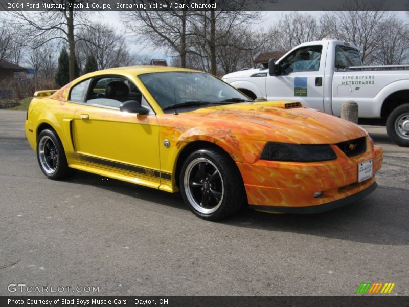 Screaming Yellow / Dark Charcoal 2004 Ford Mustang Mach 1 Coupe