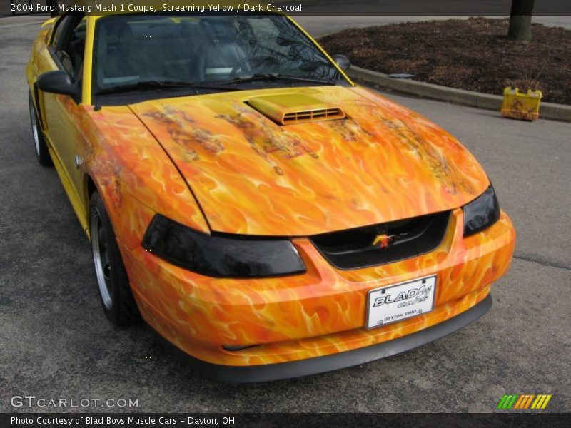 Screaming Yellow / Dark Charcoal 2004 Ford Mustang Mach 1 Coupe