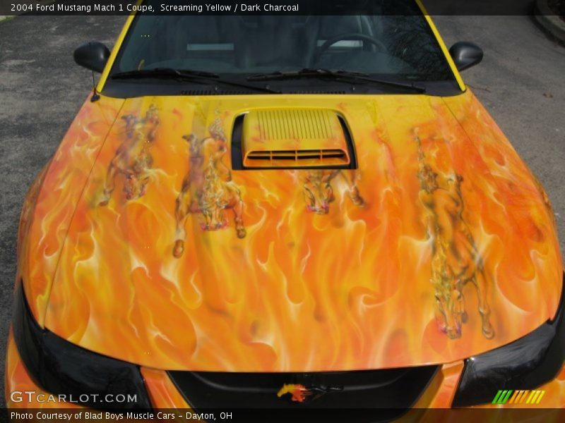 Screaming Yellow / Dark Charcoal 2004 Ford Mustang Mach 1 Coupe