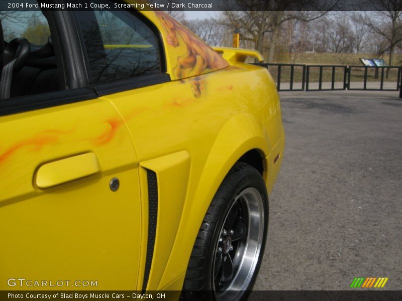 Screaming Yellow / Dark Charcoal 2004 Ford Mustang Mach 1 Coupe