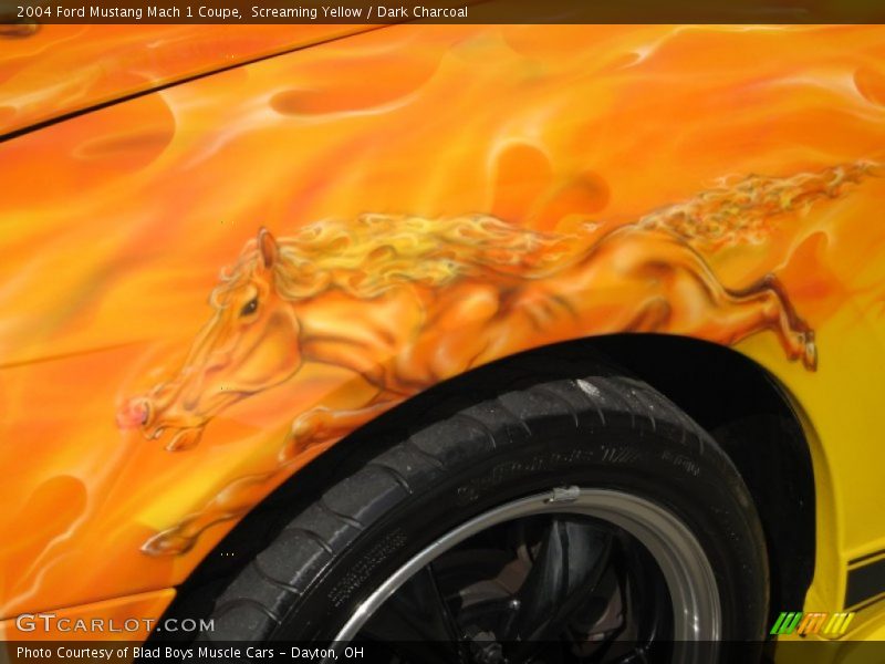Screaming Yellow / Dark Charcoal 2004 Ford Mustang Mach 1 Coupe