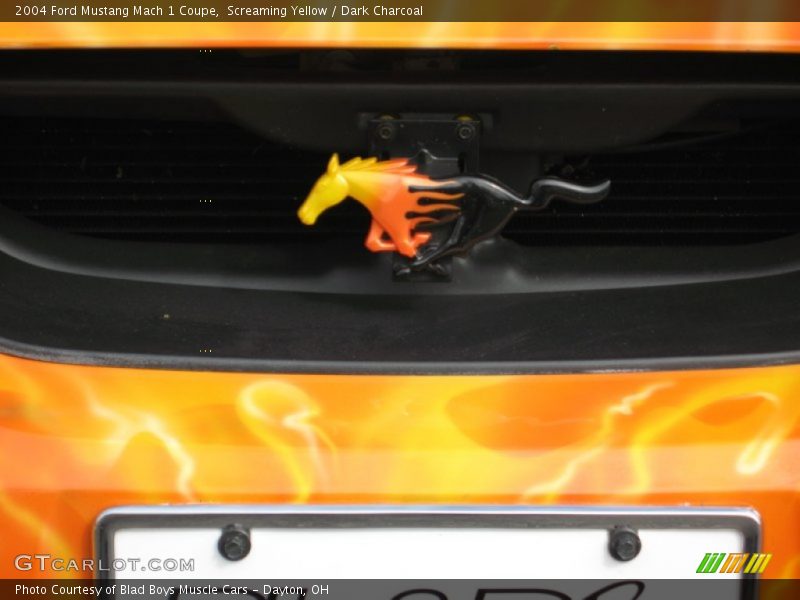 Screaming Yellow / Dark Charcoal 2004 Ford Mustang Mach 1 Coupe