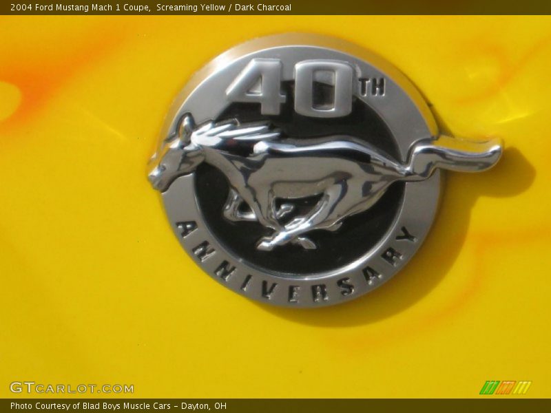 Screaming Yellow / Dark Charcoal 2004 Ford Mustang Mach 1 Coupe