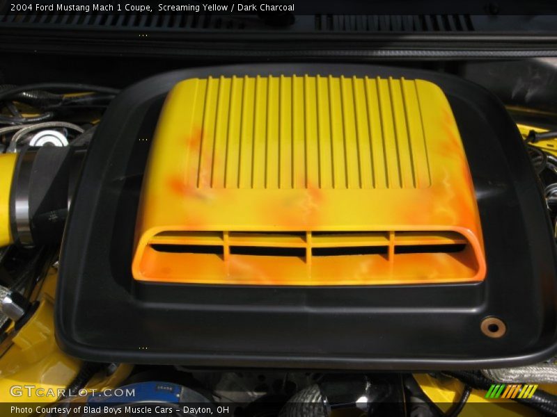 Screaming Yellow / Dark Charcoal 2004 Ford Mustang Mach 1 Coupe