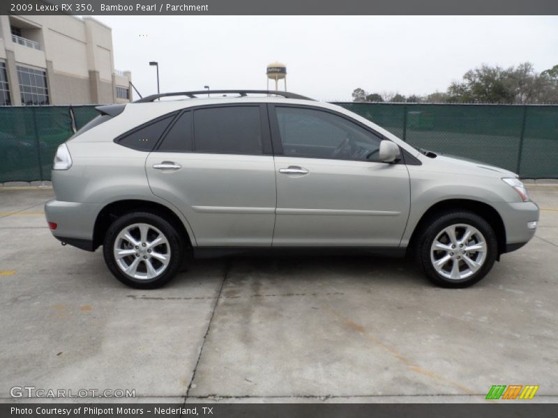 Bamboo Pearl / Parchment 2009 Lexus RX 350