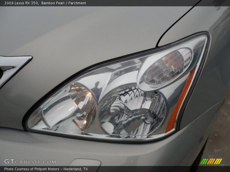 Bamboo Pearl / Parchment 2009 Lexus RX 350