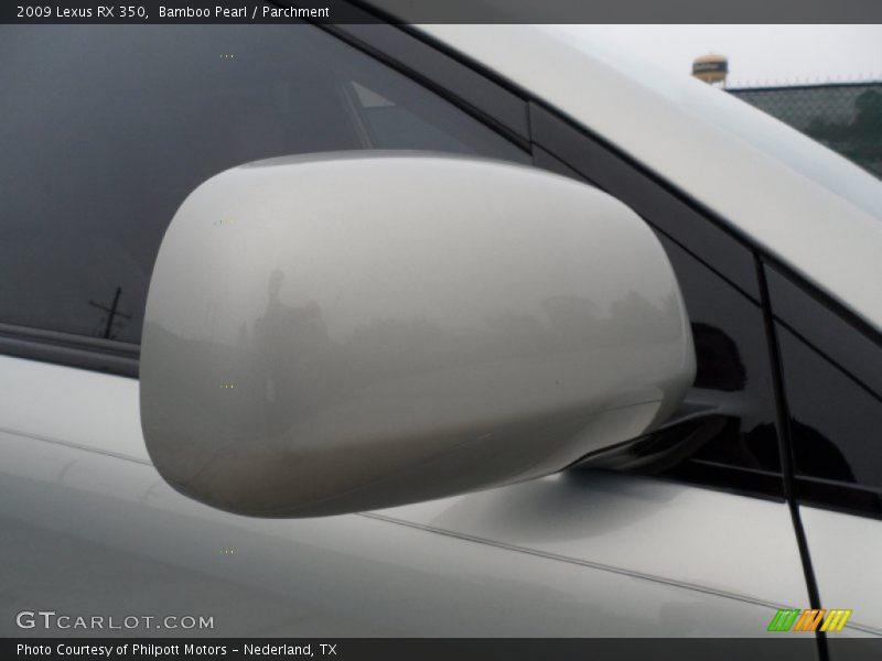 Bamboo Pearl / Parchment 2009 Lexus RX 350